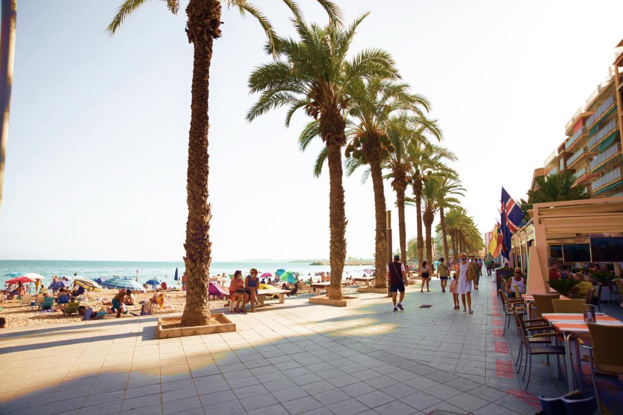 Holiday Studio Jardin Playa Torrevieja Exterior foto
